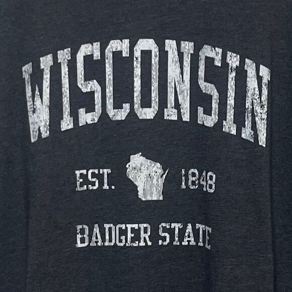 Wisconsin Badger State Tshirt Womens XXL Gray Souvenir Port & Company - Picture 5 of 9